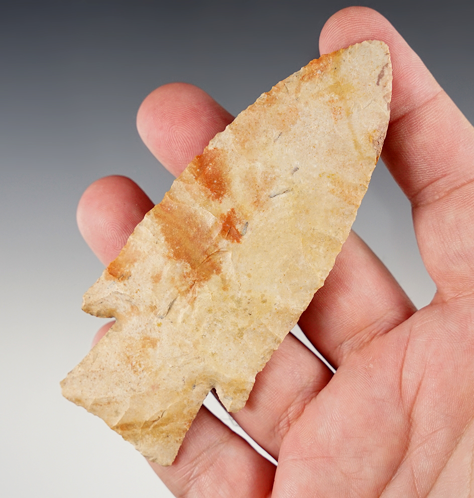 Beautiful color on this 4 3/16" Hardin found August 25, 1962 in McDonough Co., Illinois. 