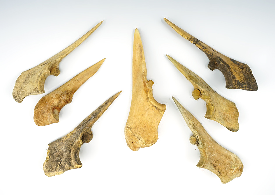 Set of seven nicely styled Trigger Awls found in New Mexico. Largest is 4 1/2".