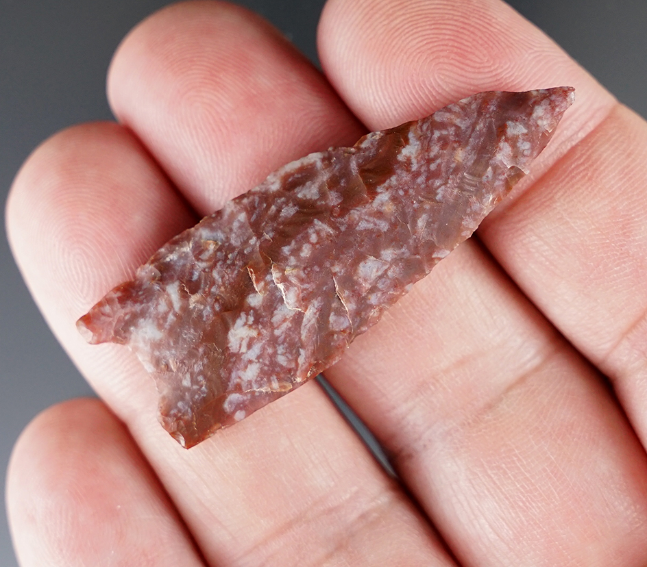 Nice! 2 1/16" Alibates Flint Plainview found in New Mexico with a lateral impact fracture at tip.