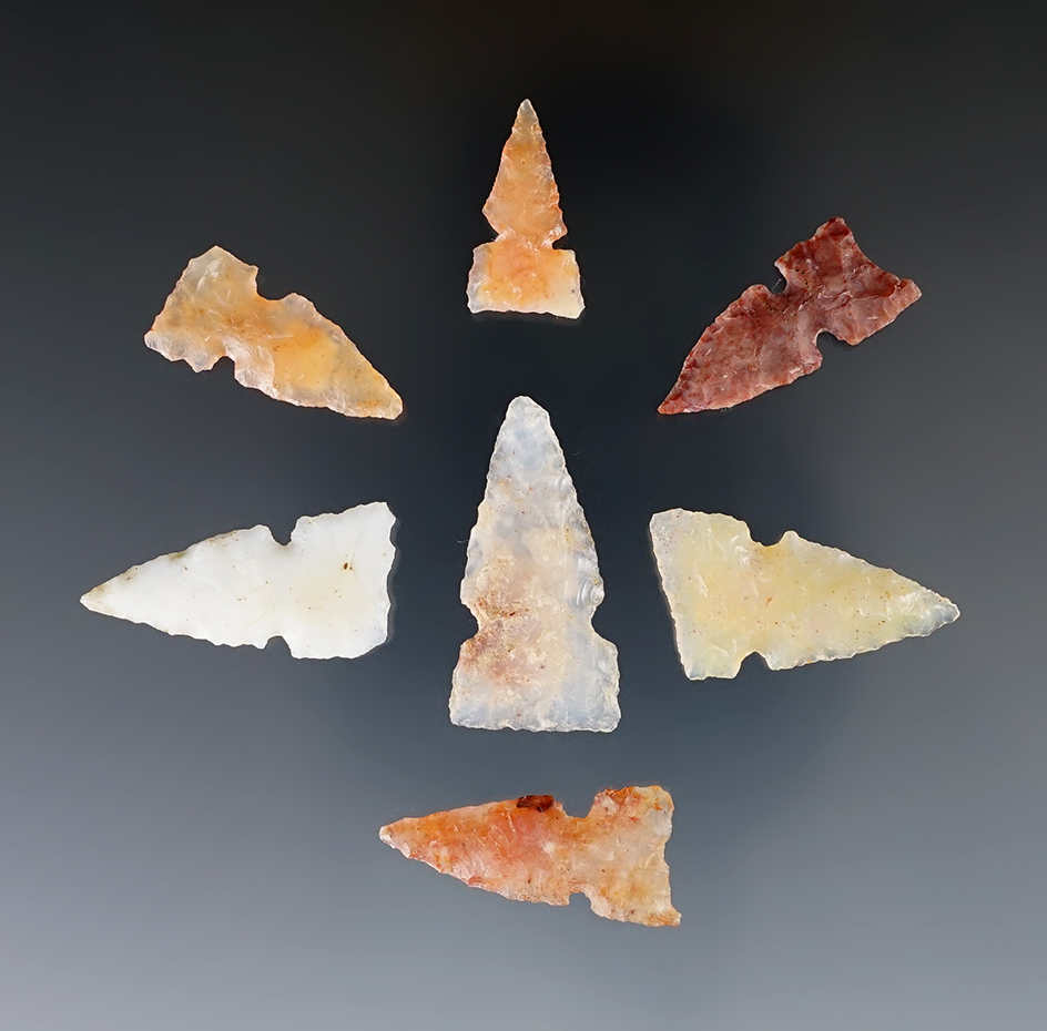 Group of 7 Side-Notched Arrow Points found in New Mexico in 1957. Largest is 1 3/16".