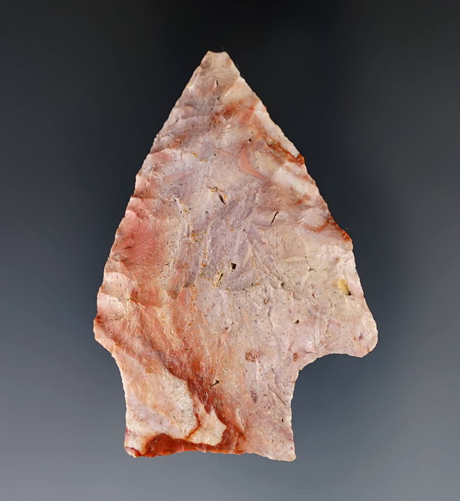 2 1/2" Stemmed Knife - attractive material found on the Belleville farm, Alachua Co., Florida.