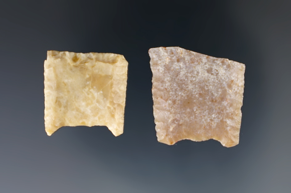 Rare! Pair of authentic fluted Paleo Folsom bases found in New Mexico. Largest is 1" tall.