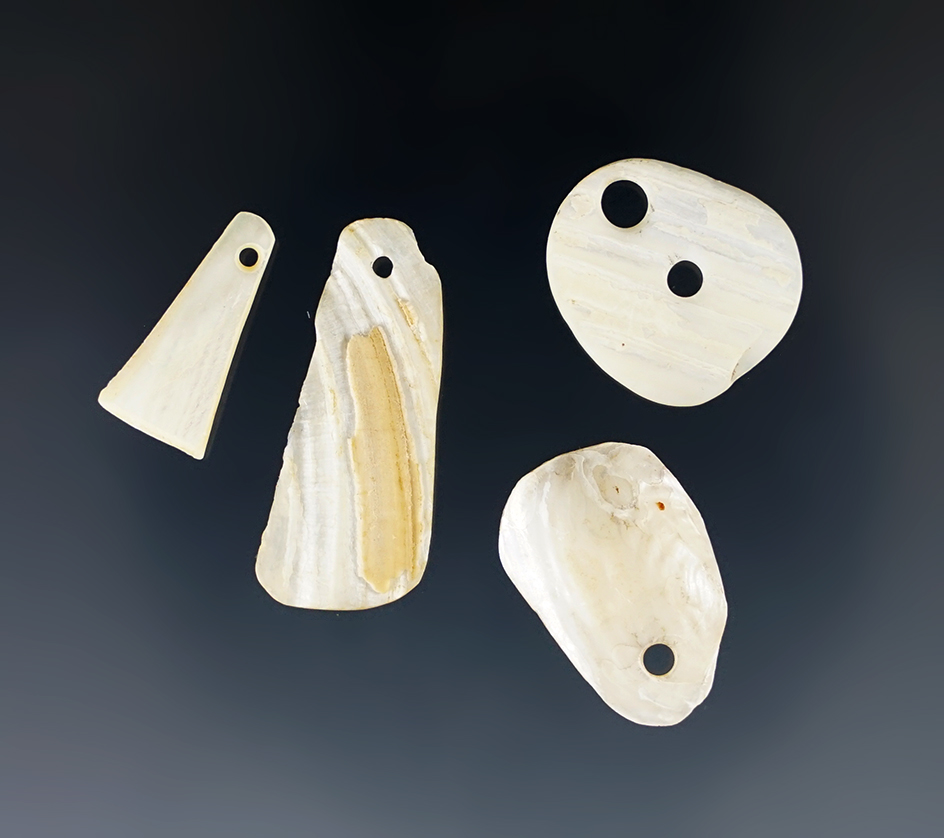 Set of 4 delicate drilled shell pendants found in Rio Puerco Valley, New Mexico. Largest is 1 1/16".