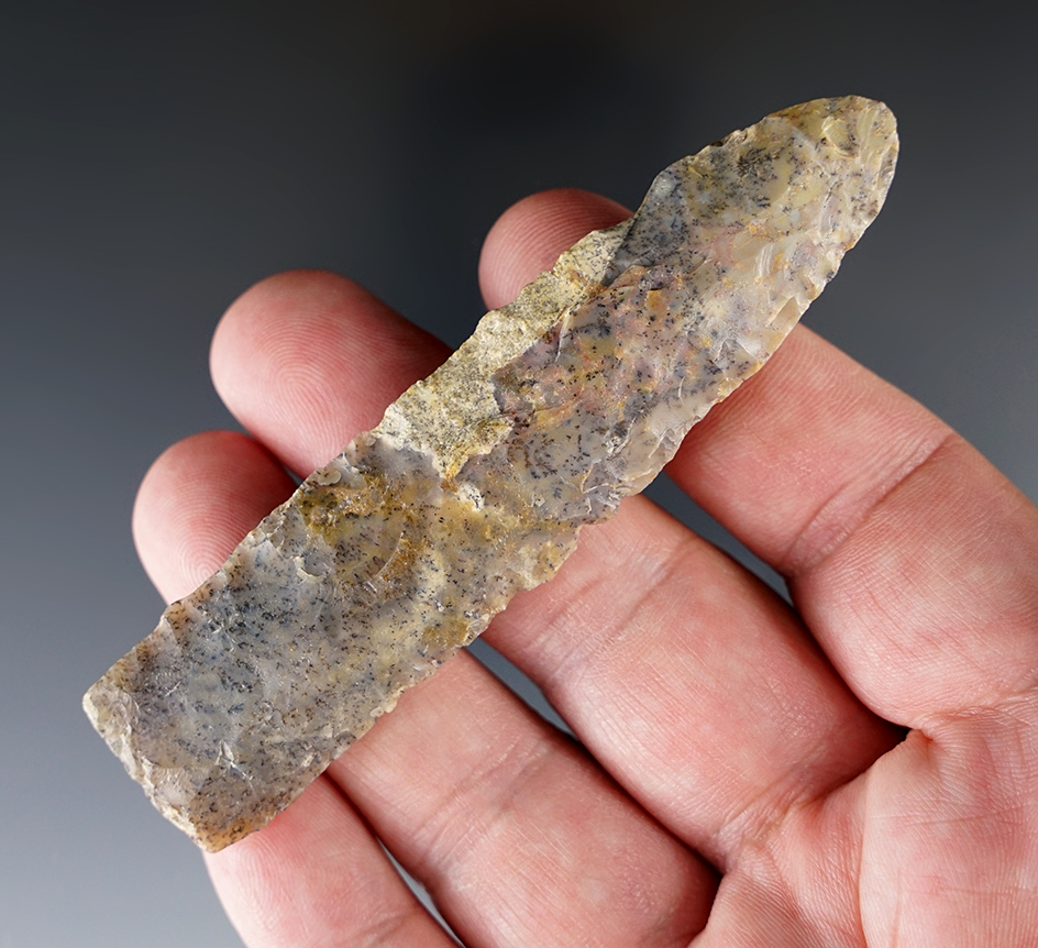 Sale Highlight! 3 13/16" Paleo Eden found by Robert "Ed" Harris in Weston Co., WY. Stermer COA.