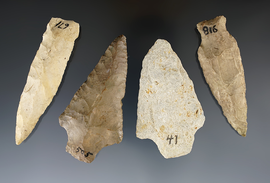 Set of four Florida arrowheads, largest is 3". All found in the 1940s.