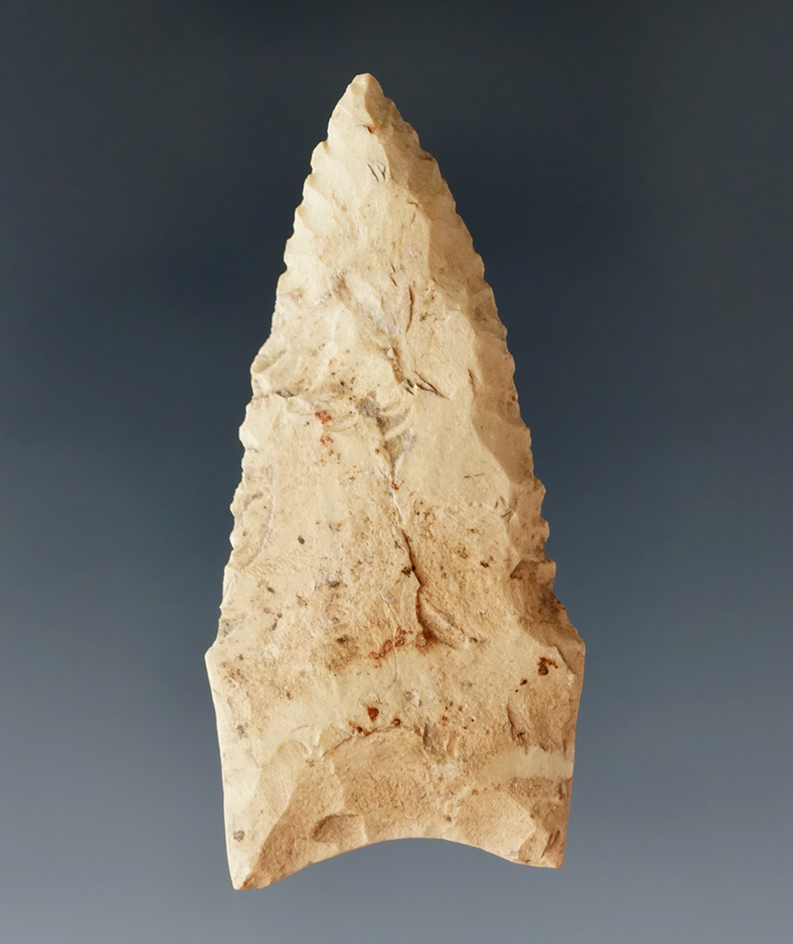 2 3/16" nicely serrated Dalton found in Arkansas.