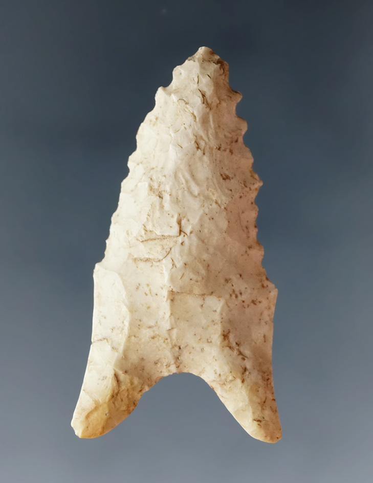 1 13/16" Dalton found in clay Co., Arkansas.