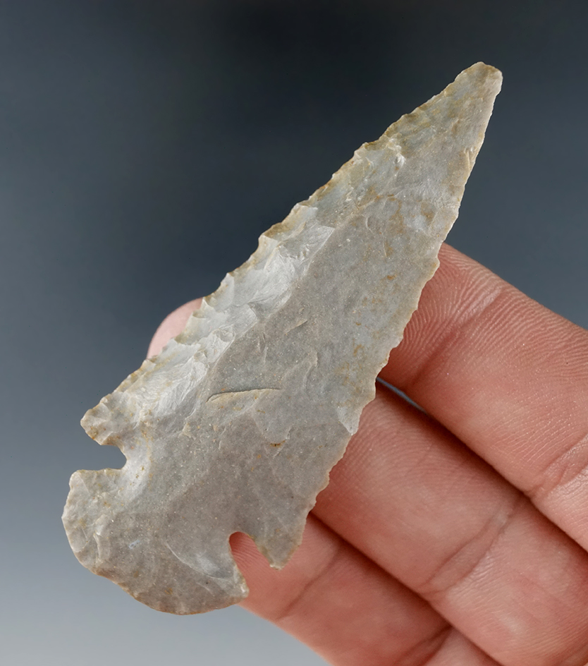 Nicely patinated 2 11/16" Hornstone Dovetail that is nicely beveled found in Indiana.