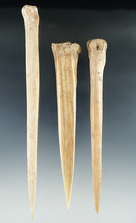 Set of three large and nice bone awls found in Texas, largest is 7 3/4".