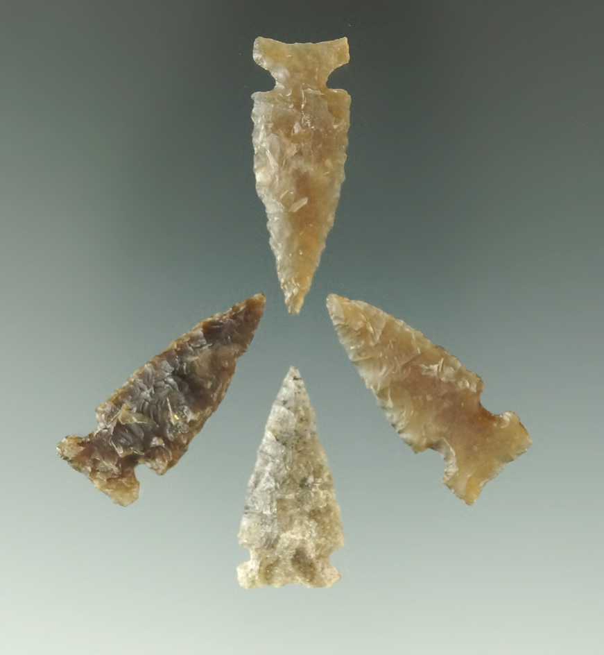 Set of four nicely translucent sidenotch arrowheads found in the Dakotas, largest is 1 1/2".