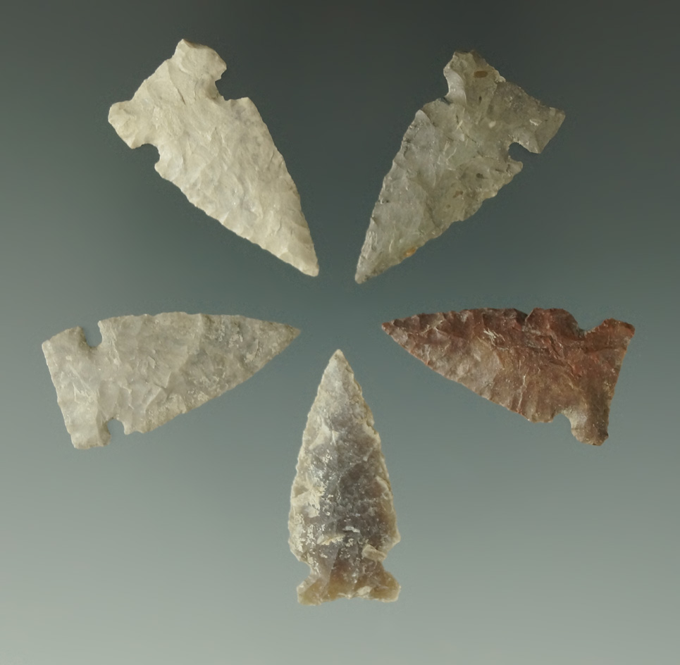 Set of five nice Sidenotch Points found in the Dakotas, largest is 1 3/16".