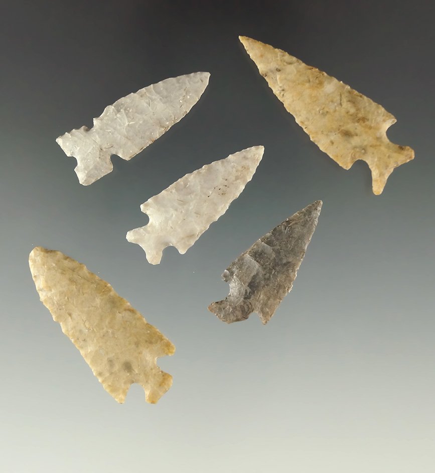 Set of 5 Kansas Bird Points, largest is 1 9/16".