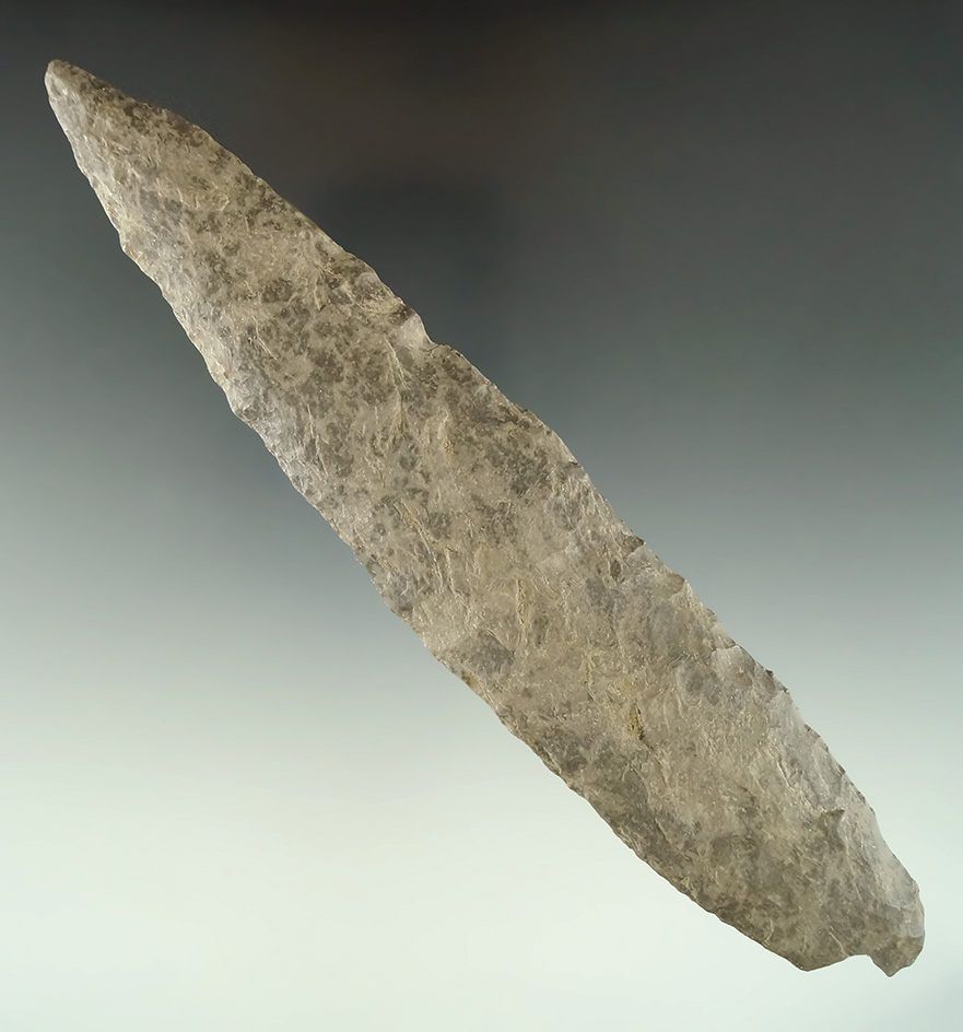 6 15/16" Archaic Knife found in NW Fargo, South Dakota. Comes with a Rogers COA.