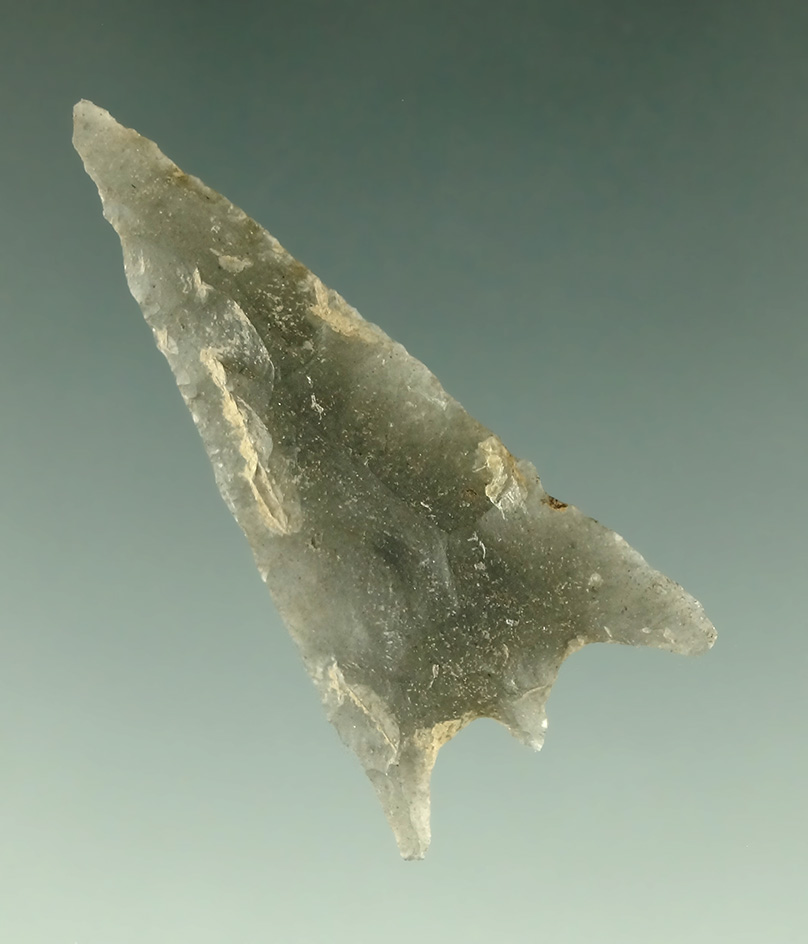 1 7/16" Bassett found in Arkansas. Ex. Bell and Engelder Collections.