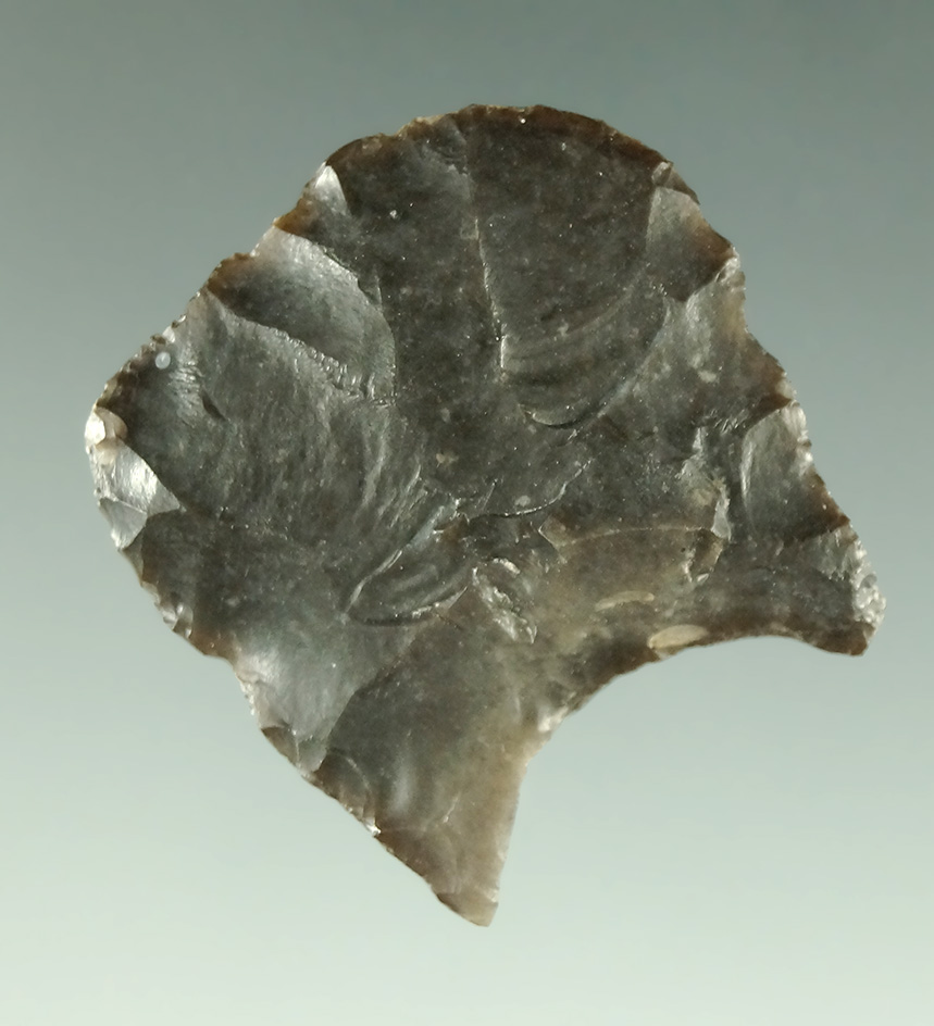 Rare style! 1" Paleo Black Rock Concave hafted scraper found in Northern California.