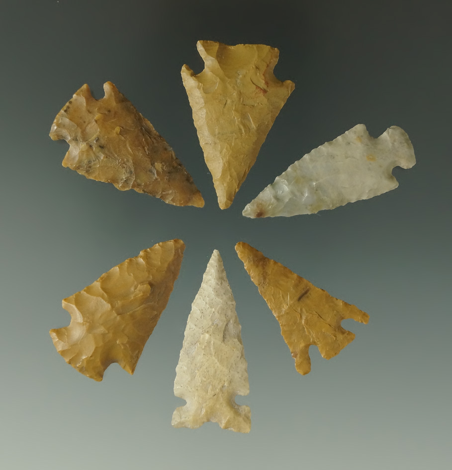 Set of six nice arrowheads found by Louis Brunke in Colorado. Largest is 1 7/16".