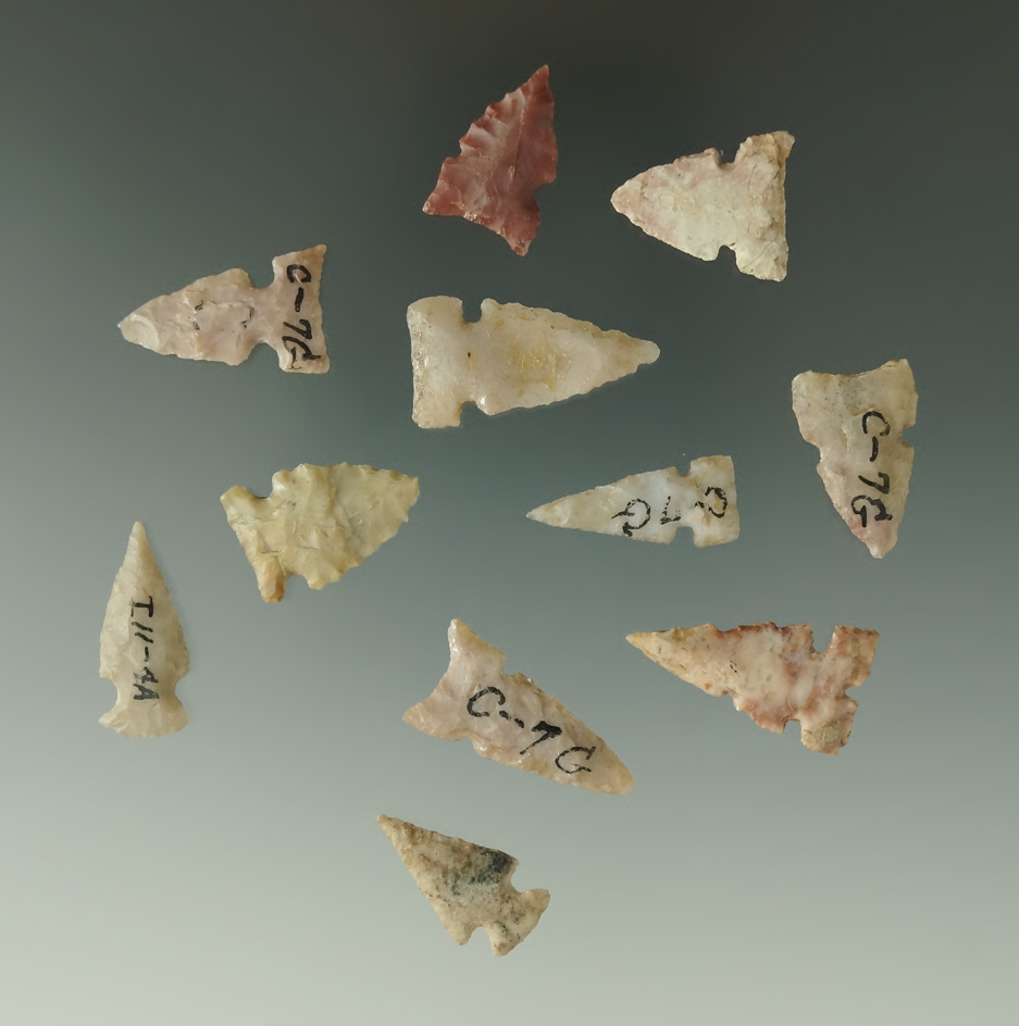 Set of 11 Kansas area arrowheads, largest is 1".