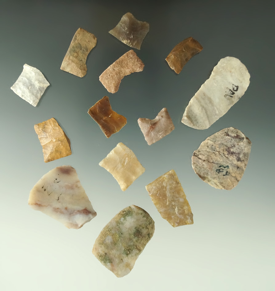 Group of assorted Thumb Scrapers, Paleo bases, and midsections. Largest is 1 3/8".