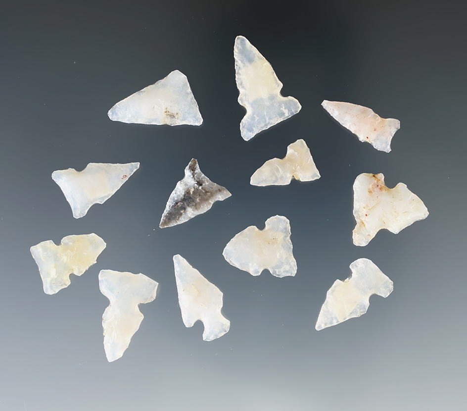 Set of 12 assorted arrow points found in New Mexico, largest is 3/4".