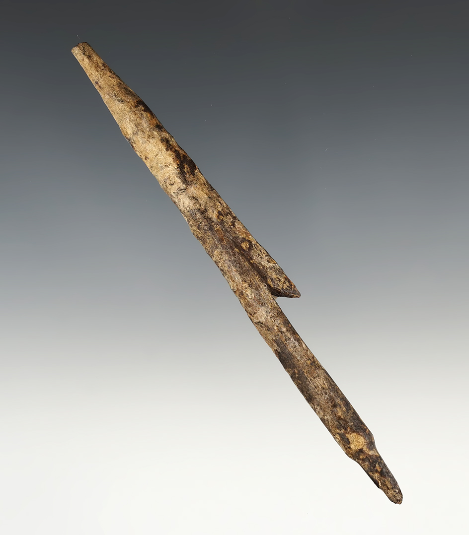 Very old 5 1/2" Inuit harpoon tip made from bone found in Alaska.
