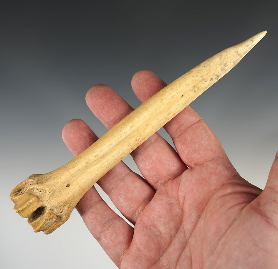 Excellent example! 7 5/16" knuckle bone awl with heavy use polished found in New Mexico.