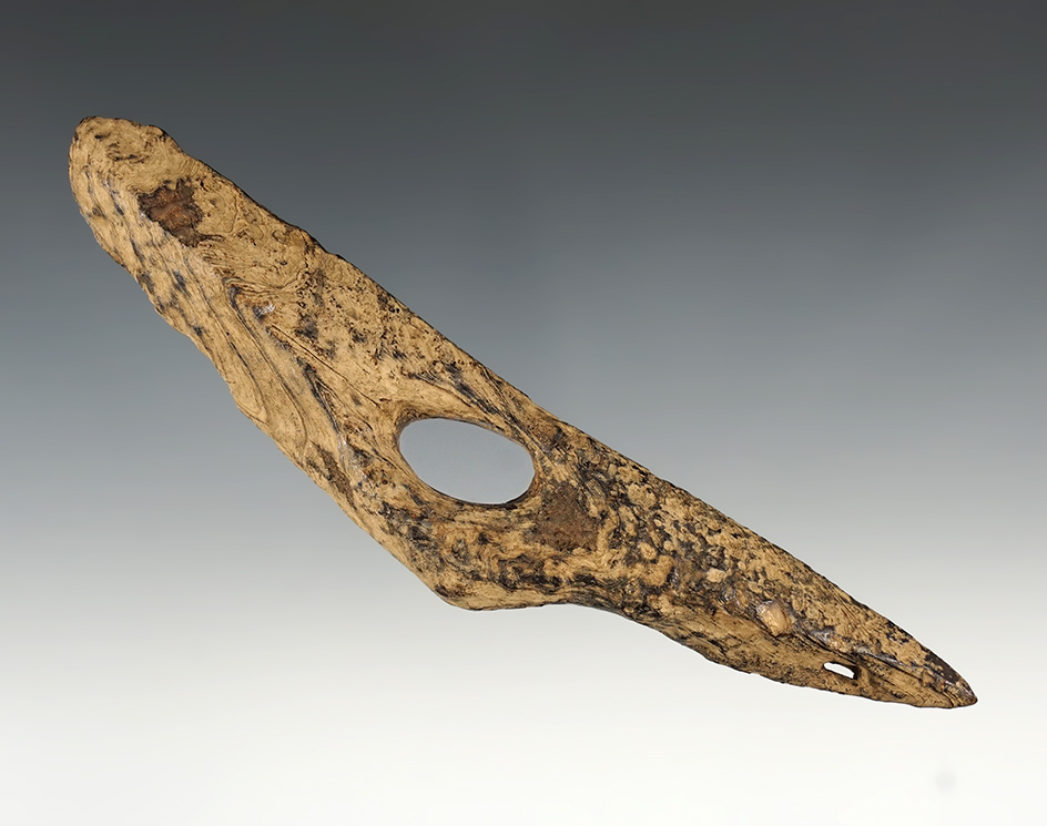 Very old and Large 6 3/8" ivory harpoon toggle that is very well weathered found in Alaska.