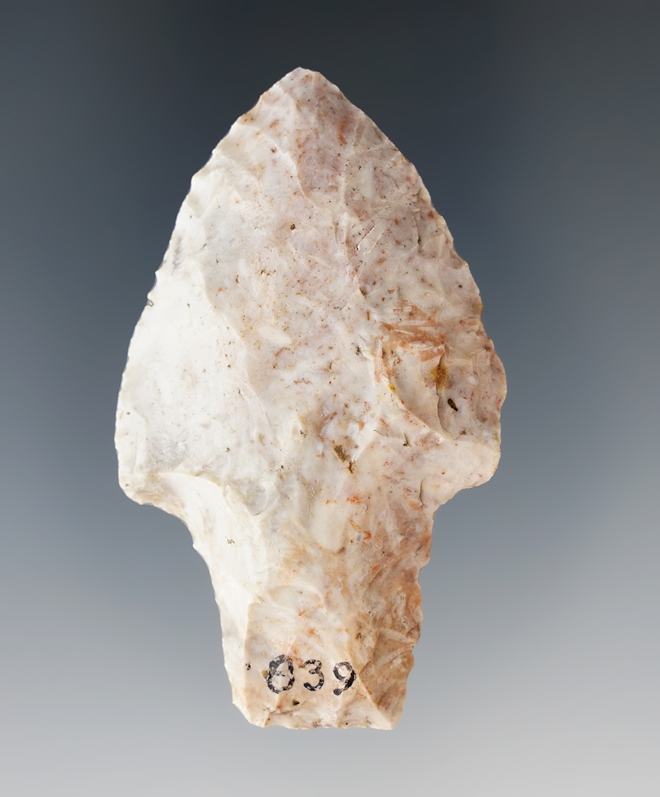 2 5/16" stemmed point found in Florida.