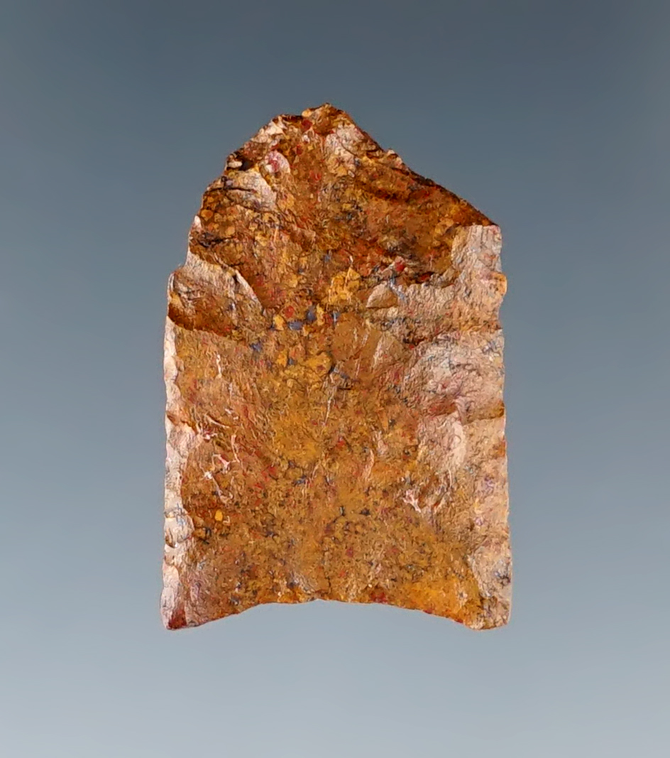 1" Paleo Midland point within anciently salvaged tip area found in New Mexico.