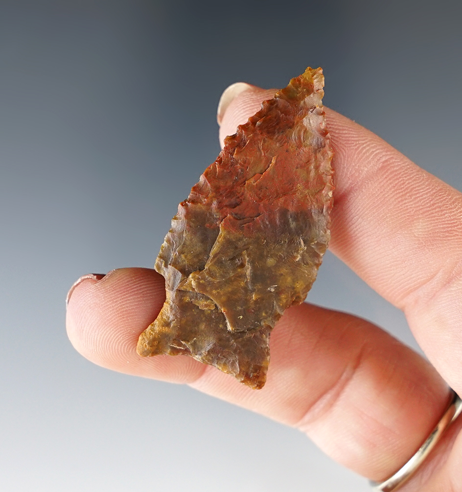 1 3/4" nicely styled serrated dart point found in New Mexico.