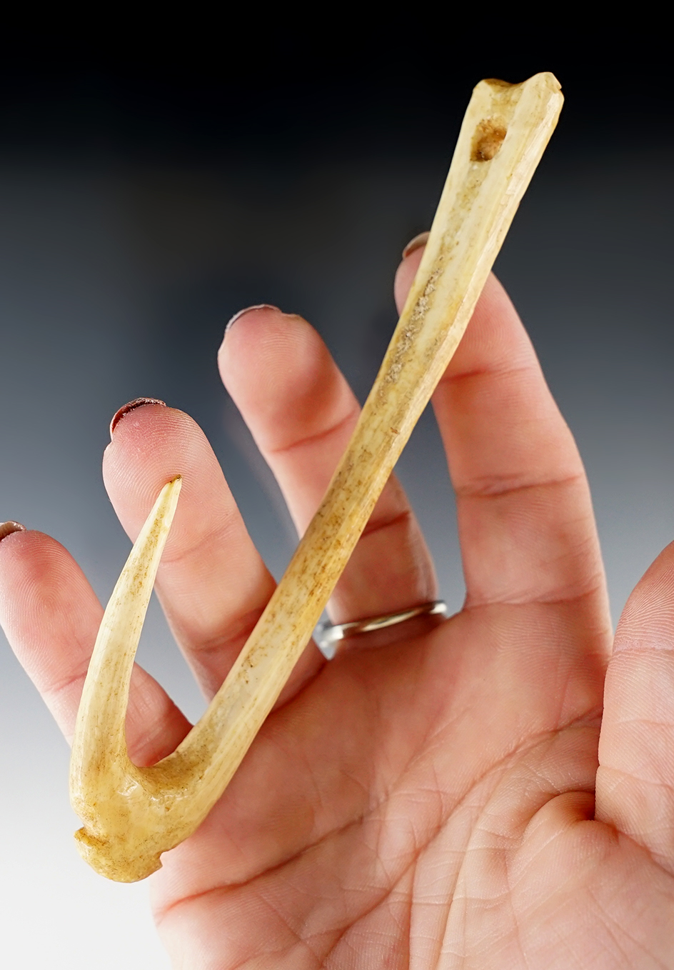 Large 5" Inuit Ivory fish hook found in Alaska.