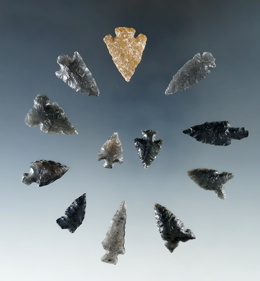 Set of 12 assorted arrowheads found in Humboldt Co., Nevada, largest is 1 1/8".