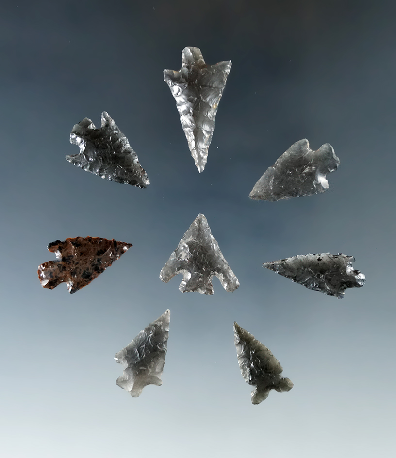 Group of eight obsidian arrowheads found in Humboldt Co., Nevada, largest is 1 1/8". All in very nic