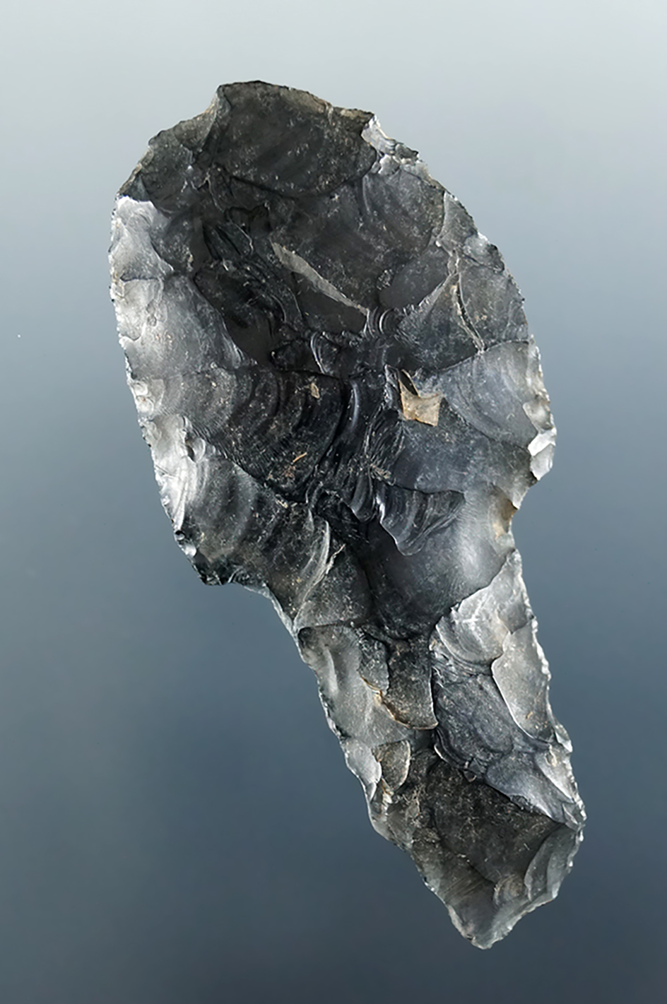 Rare! 2 1/8" Cougar Mountain that was heavily resharpened. Stem is ground.  Humboldt Co., NV.