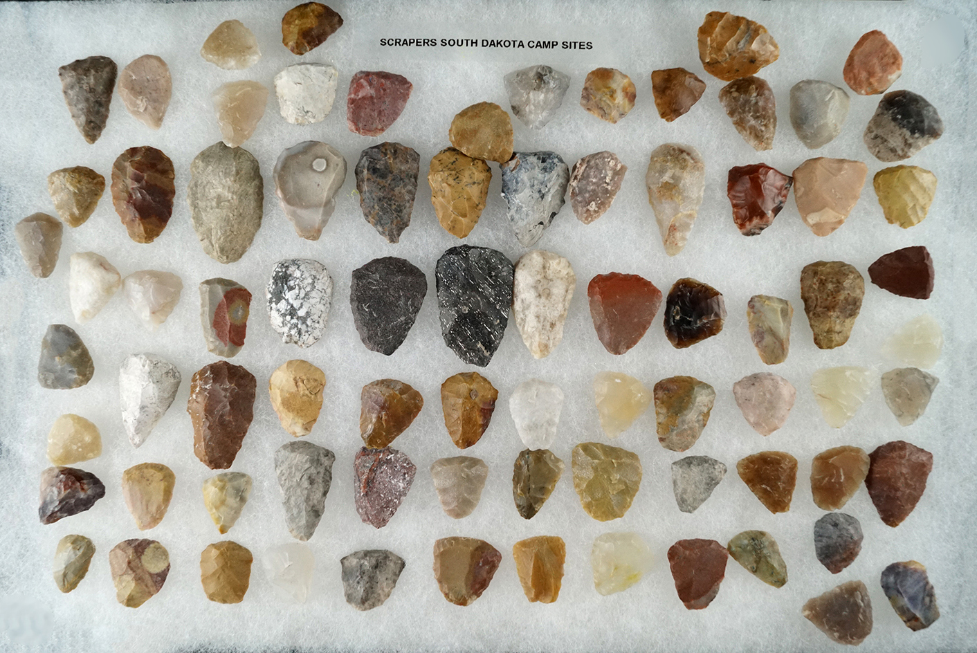 Large group of assorted thumb scrapers found at various campsites in South Dakota.