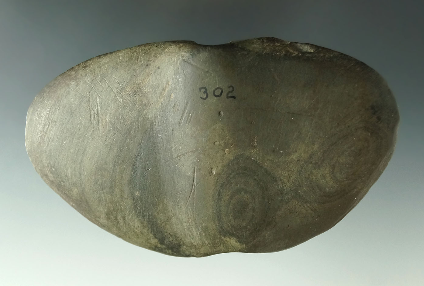 4 11/16" Butterfly Bannerstone found in Medina Co., Ohio. Ex. Macy Halleck, Henry Sedlon.