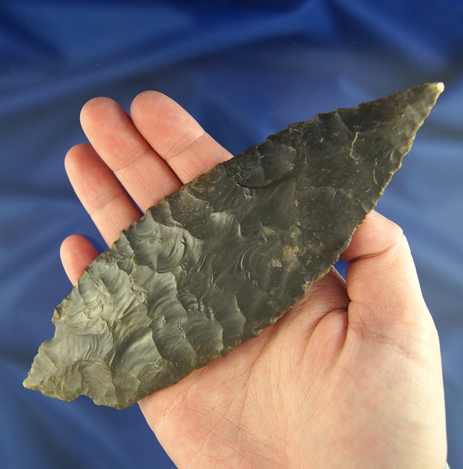 Ex. Lar Hothem!  Large, thin and nice! 6 1/2" thin and classic style-Turkeytail  - Harrison Co.,  In