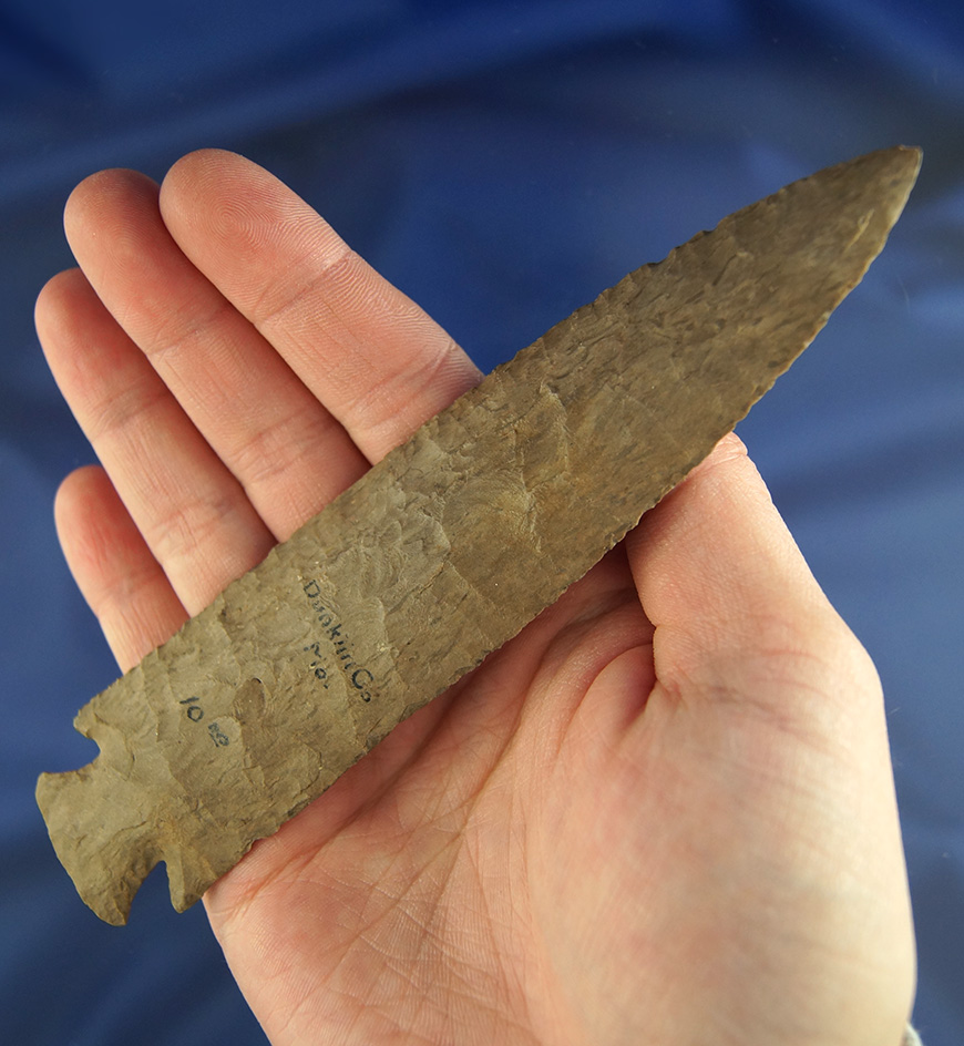 Exceptional! Large 5 5/8" Ocala Point - very minor restoration to end of tip - Dunklin Co.,  Missour