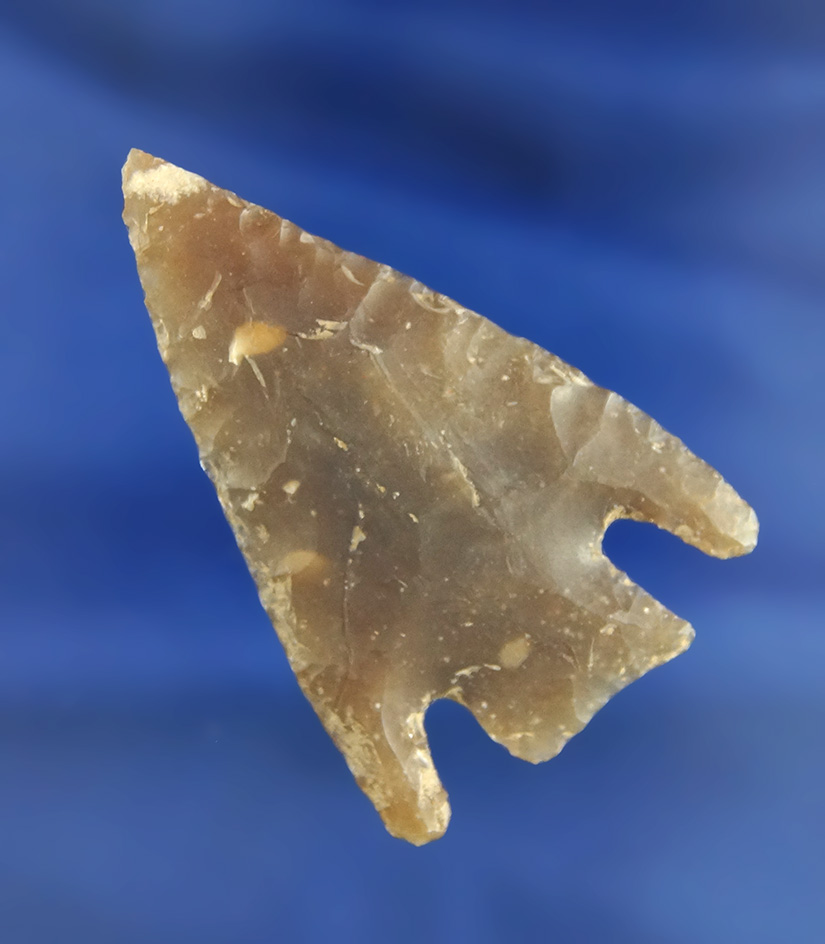 2 1/8" beautifully flaked Marshall Point with perfect ears -attractive high quality Flint found in T