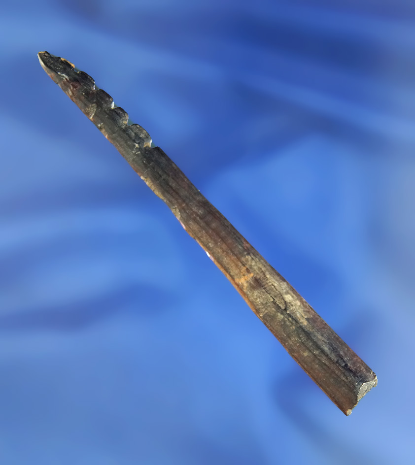 3 5/8" heavily patinated Alaskan bone harpoon tip.