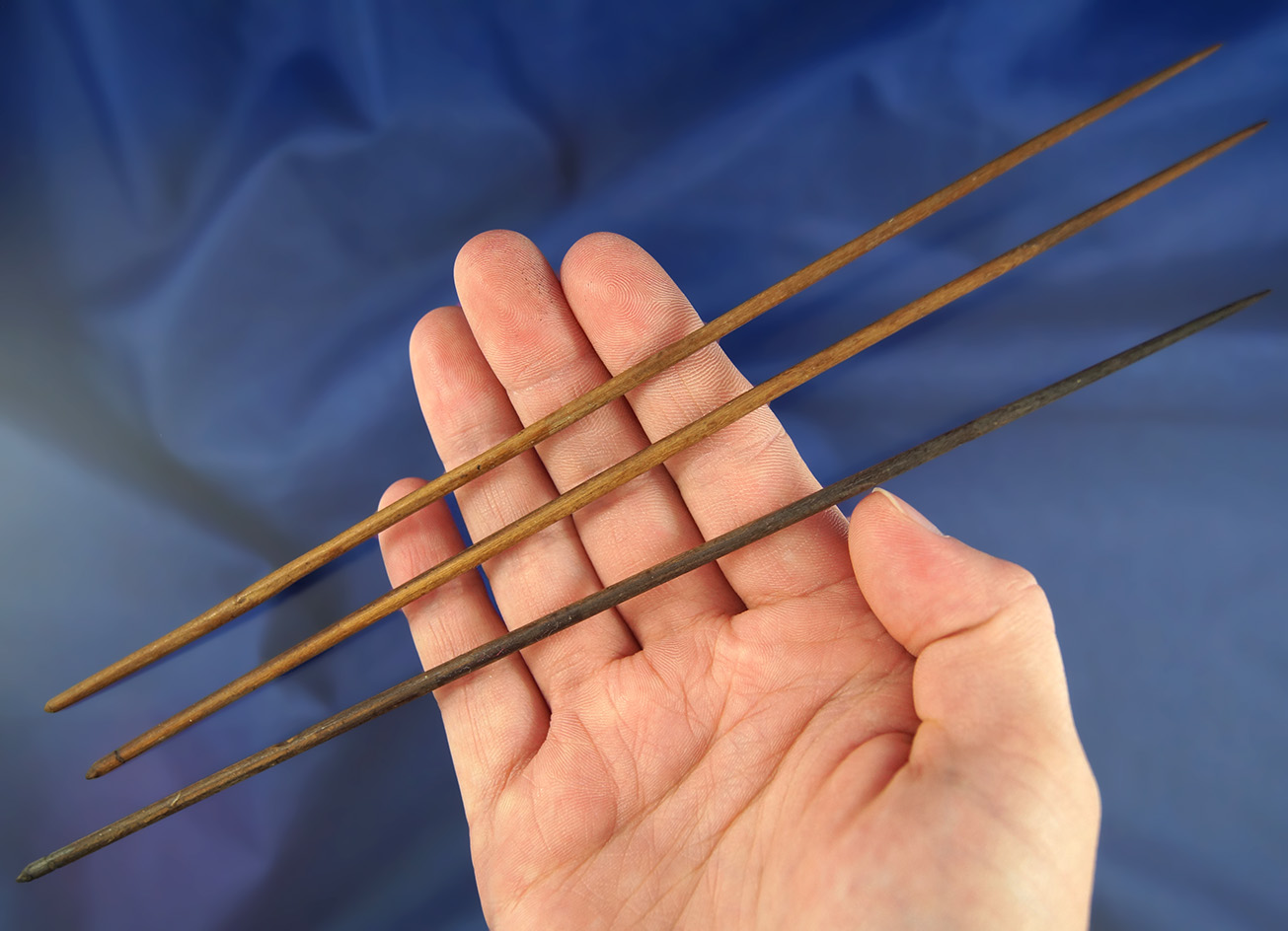 Unique! Set of 3 8"+ long Cyprus wood needles found in Dade Co., Florida in excellent condition.
