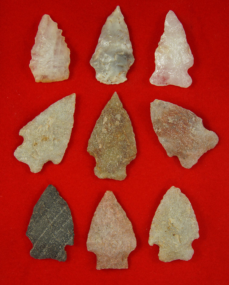 Set of 9 assorted Virginia Arrowheads, largest is 2".