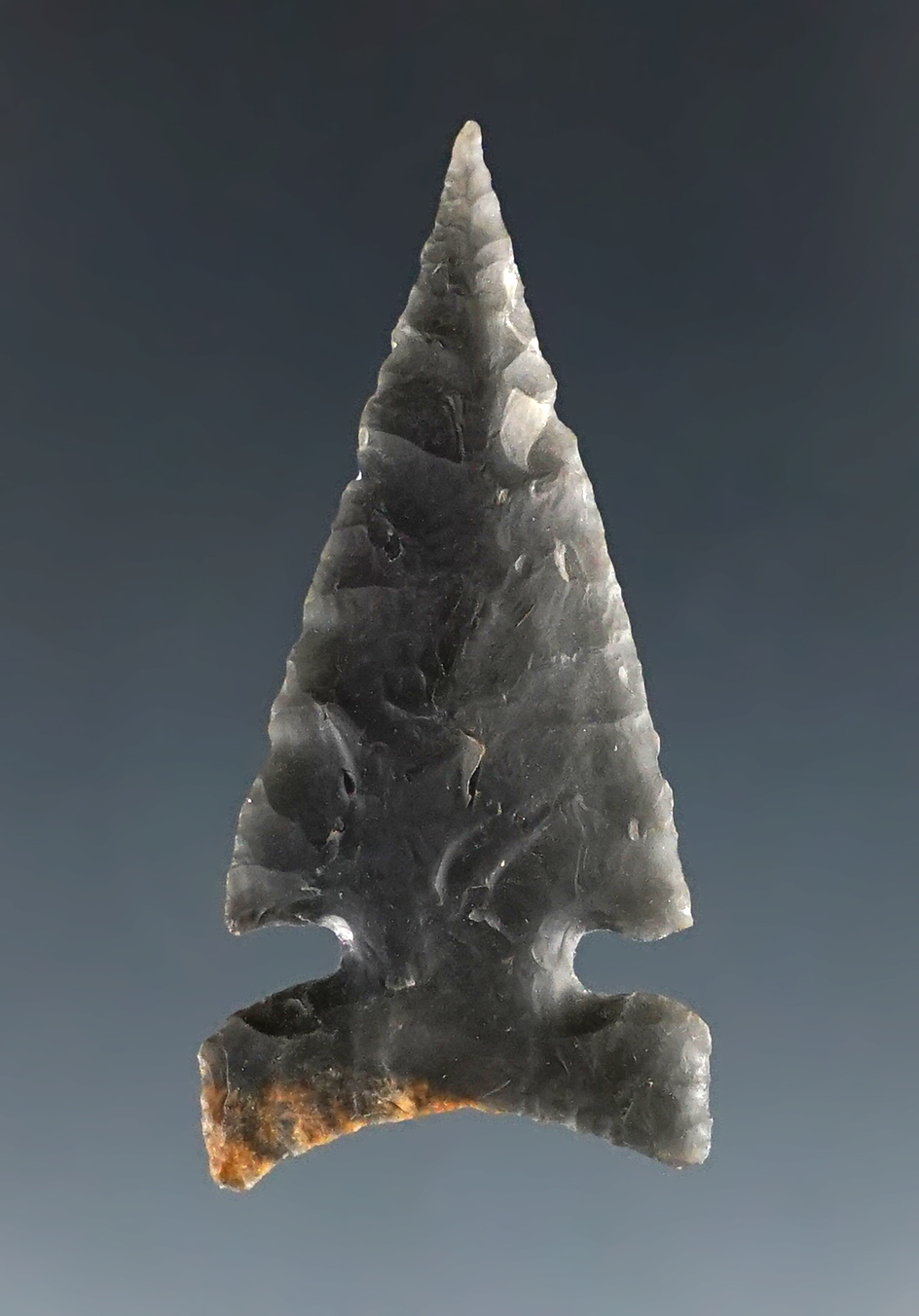 1 9/16" Northern Sidenotch that is thin and finely flaked. Found in Southern Oregon.