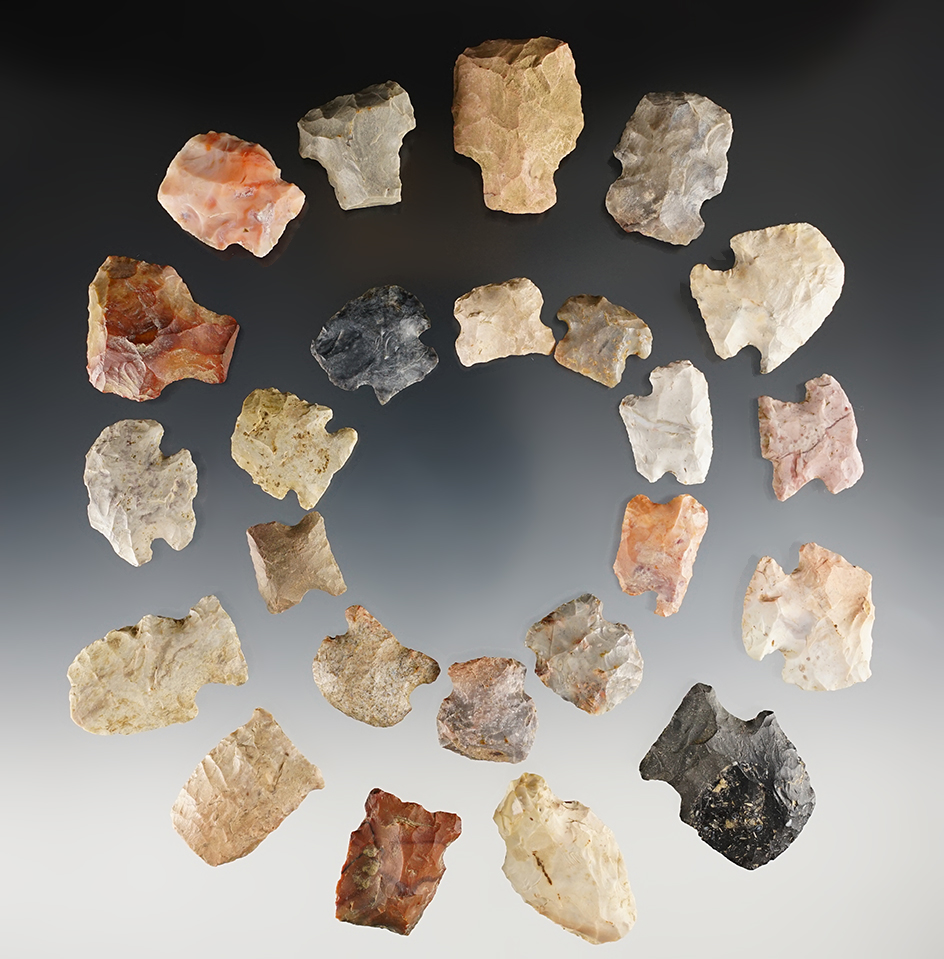 Set of 24 Ohio Blunts made from a variety of flint types. The largest is 1 1/2".