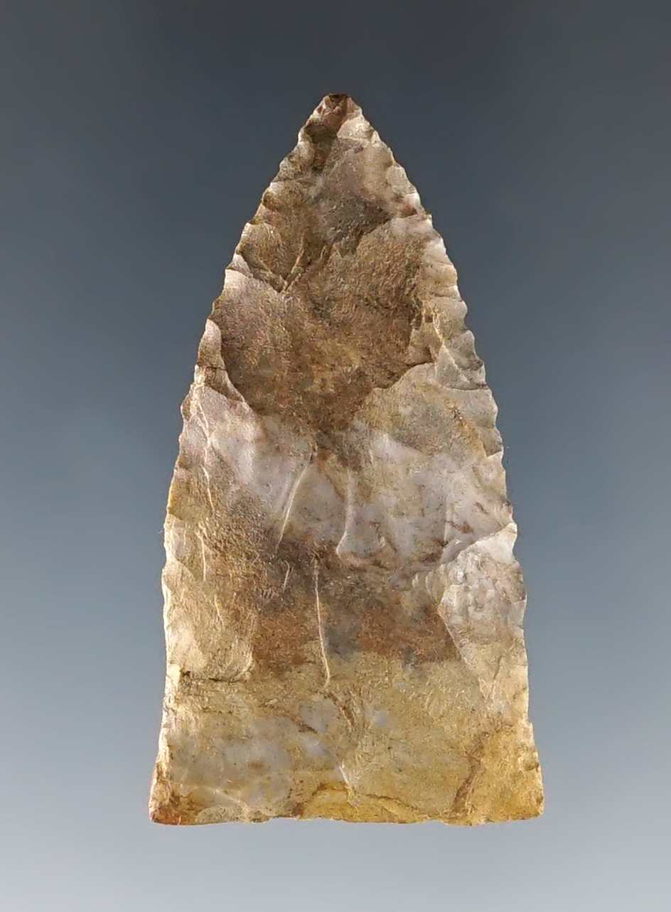 1 15/16" Copena found close to Howard, Fayette Co., Alabama.