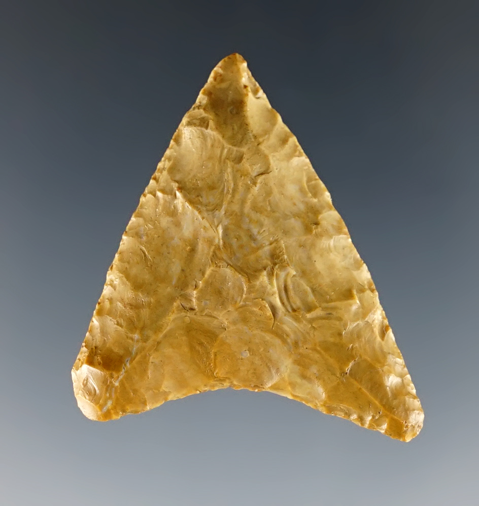 1 11/16" Columbia Mule Ear found in Washington. From the C.L. Pugh Museum. 