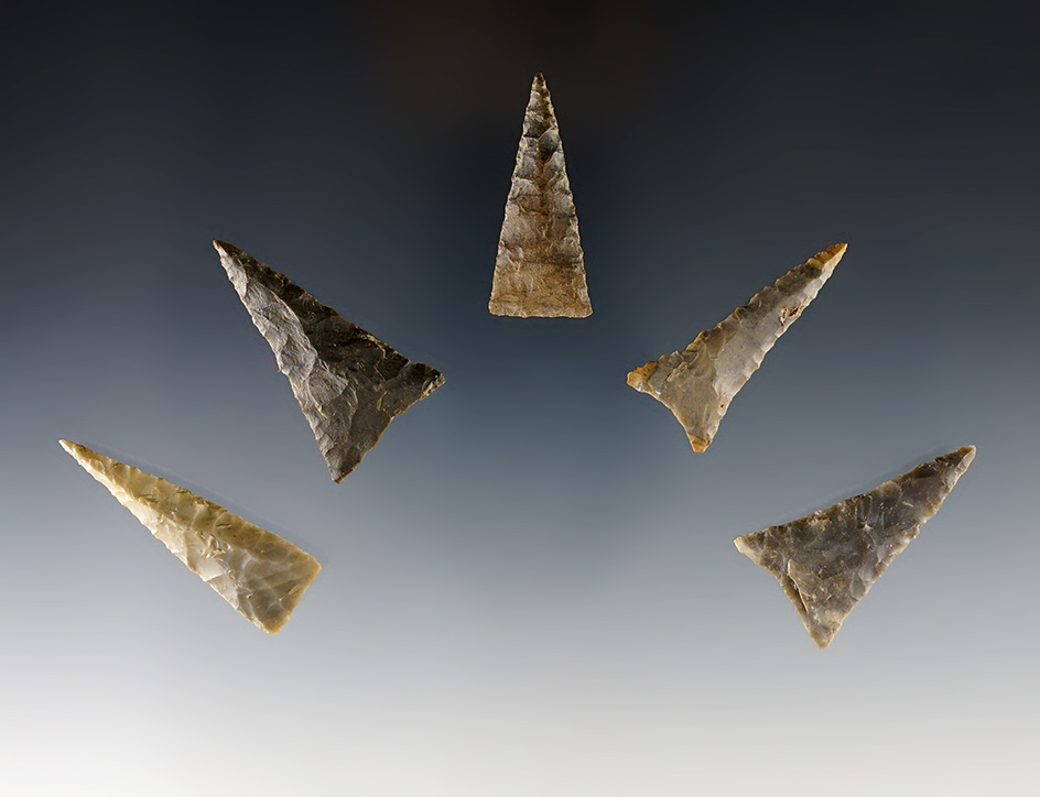 Set of 5 nice Triangle Points found in Indiana. Ex. Dan Pearce collection. The largest is 1 3/4".
