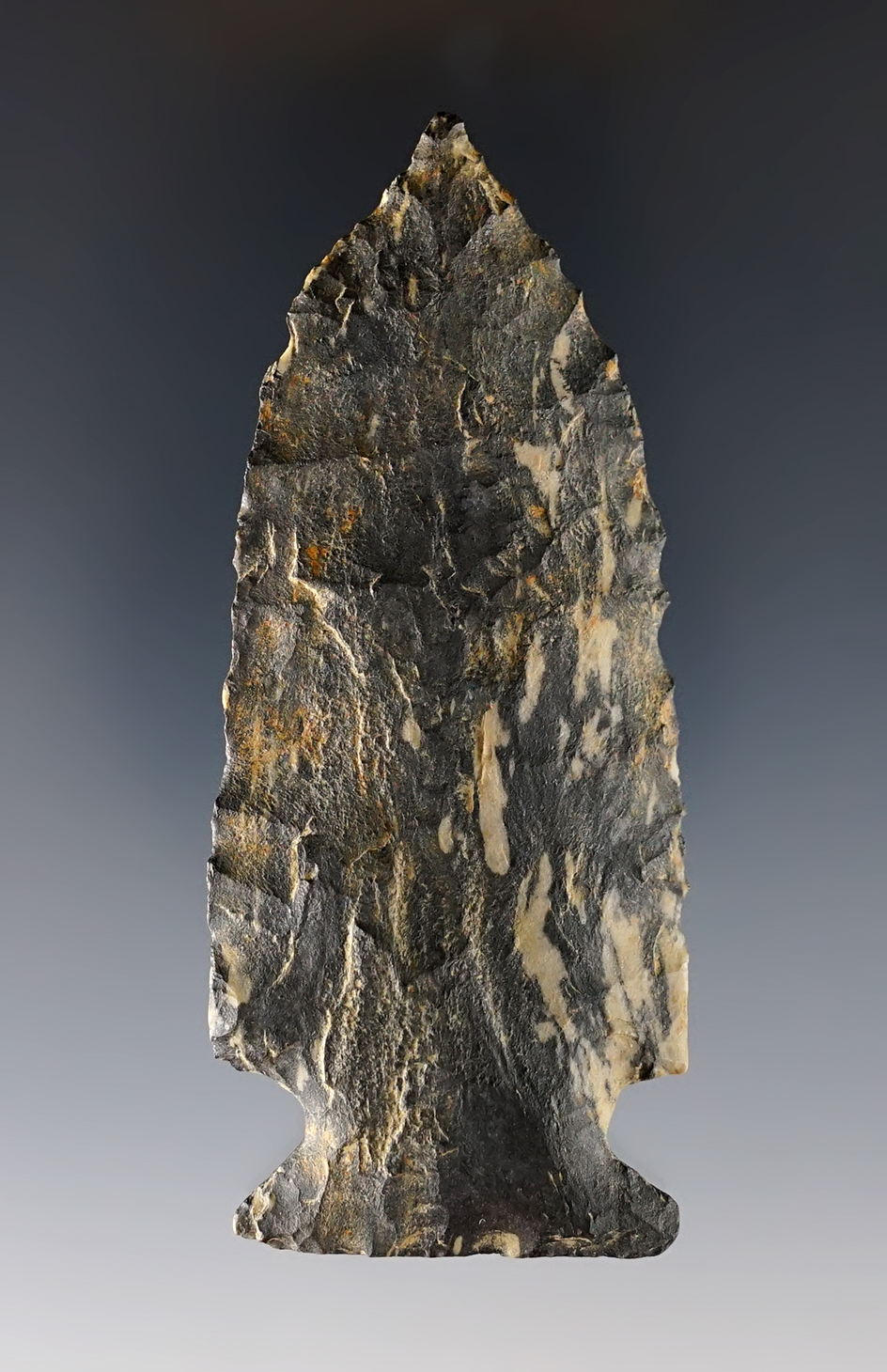 Superb! 3 1/2" Fishspear made from beautiful black and cream colored chert. Pennsylvania.