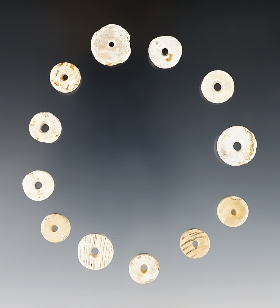 Set of 12 nice Shell Beads found around the Sacramento Valley, California. The largest is 5/8".