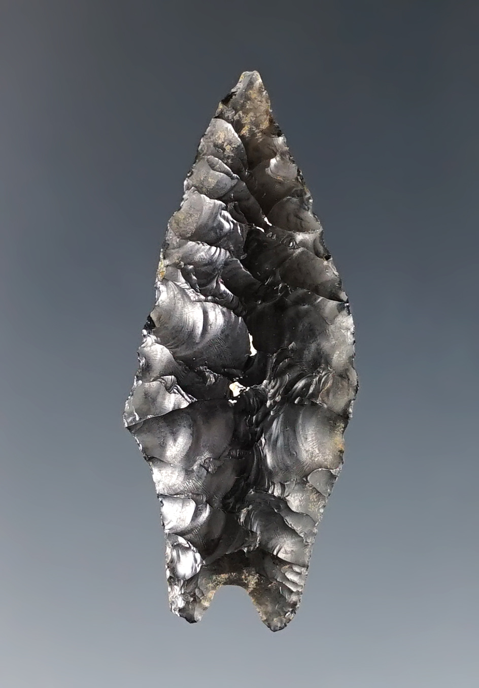 1 11/16" Pinto Basin Sloping Shoulder. Found in Oregon. Ex. C.L. Pugh Museum.