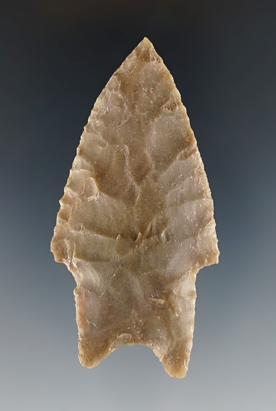 Well patinated 2 11/16" Pedernales found in Edwards Co., Texas. Comes with an Arnold COA.